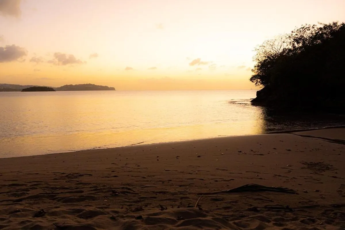 Almond Tree Villa Beach Hideaway With Jacuzzi Gros Islet